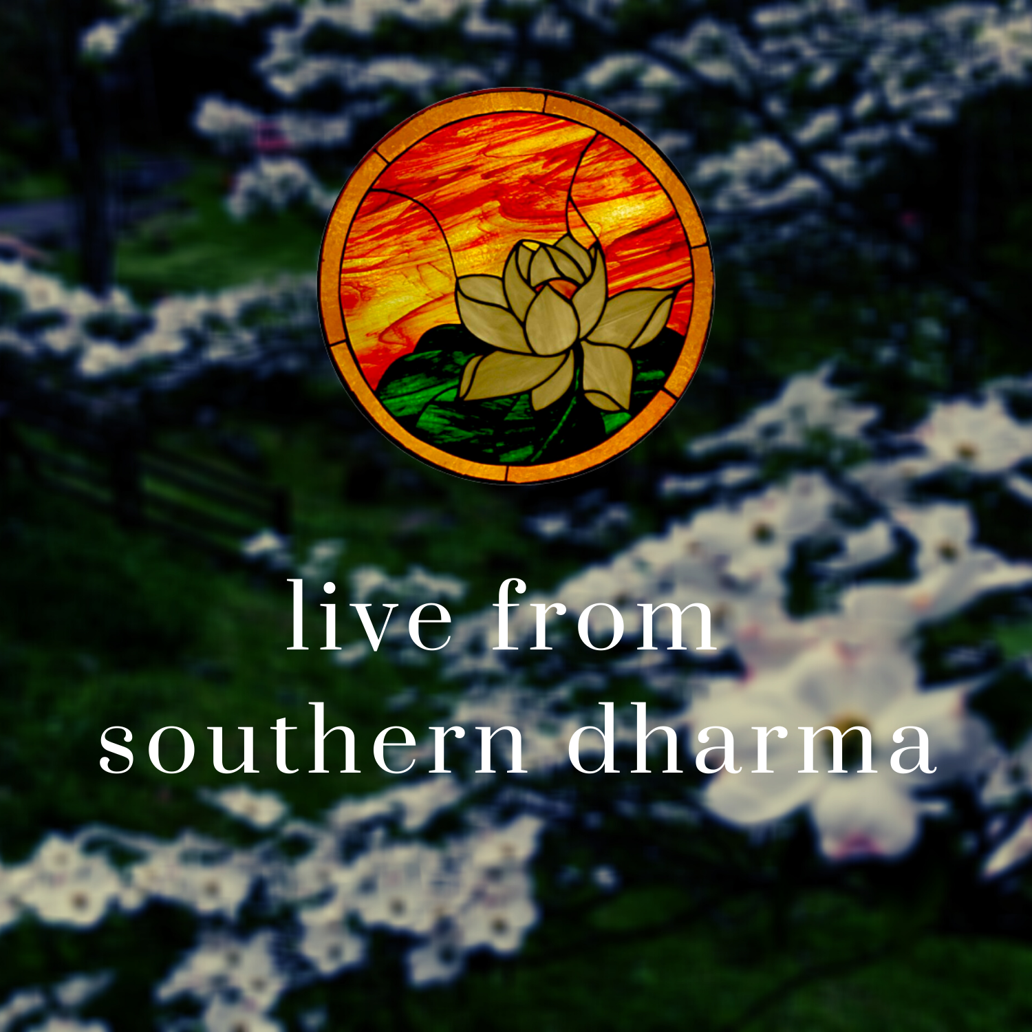 Live from Southern Dharma